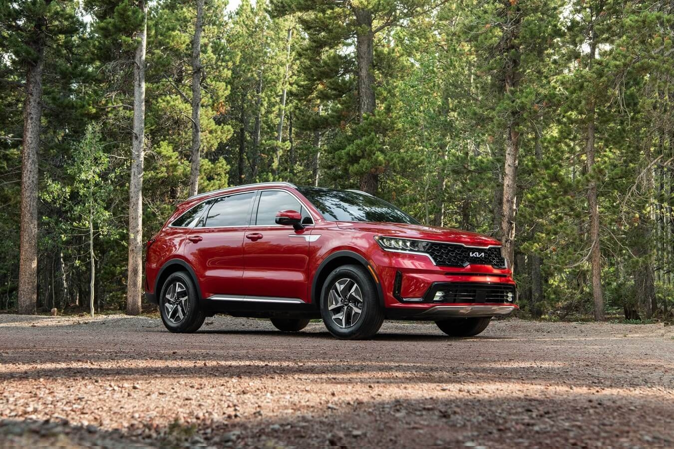 Le Kia Sorento stationné dans une forêt.