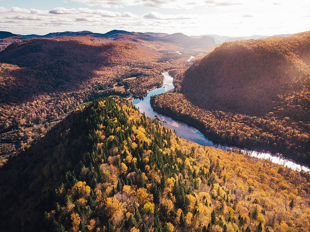 Les loups, Parc national de la Jacques-Cartier