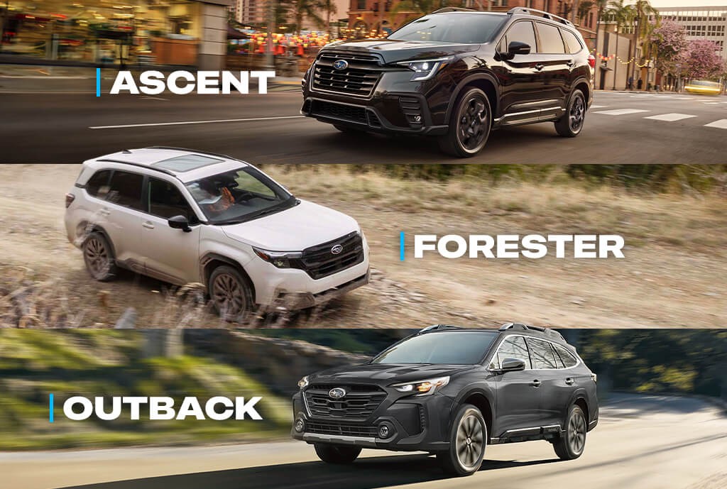 Ascent, Outback et Forester