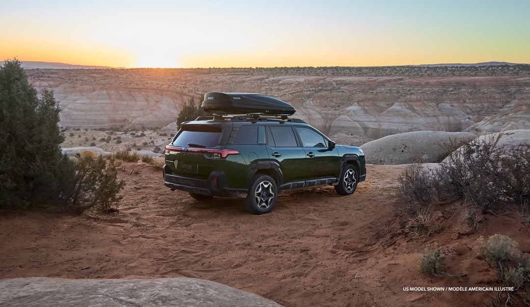Subaru Outback Wilderness 2026 vert foncé avec coffre de toit, stationné en nature au coucher du soleil.