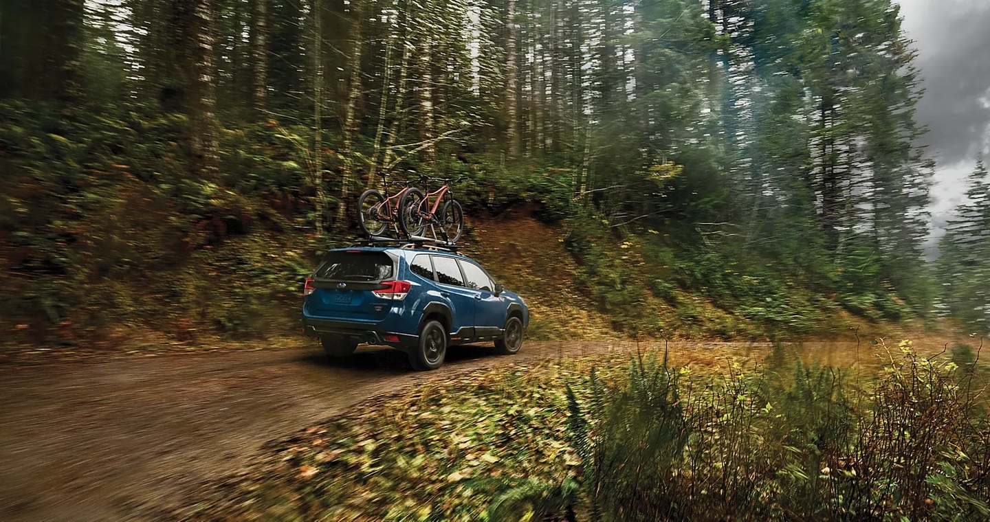 Subaru Forester Wilderness 2025 bleu avec deux vélos sur le toit, circulant sur un sentier boisé en montée.